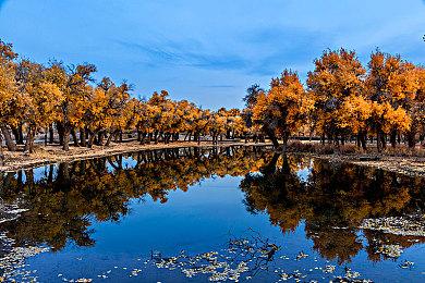 《蛙岛时光》发布新官方预告 2022年夏季发售